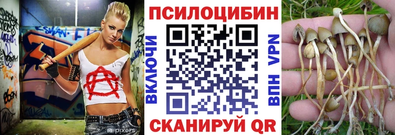 Купить  Константиновск  Галлюциногенные грибы мицелий 